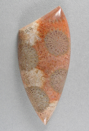 Coral