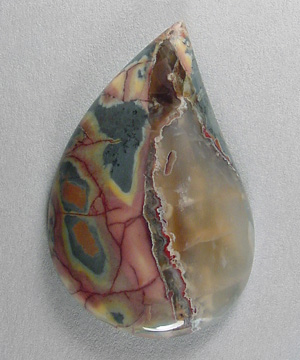 butterflywing