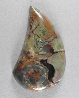 butterflywing
