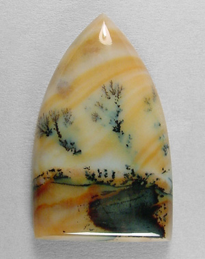 pauite agate