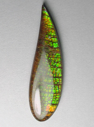 ammolite