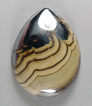 schalenblende