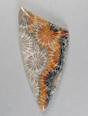 Coral