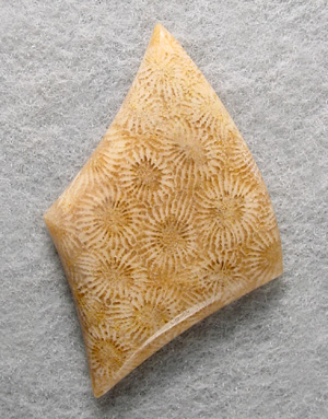 coral