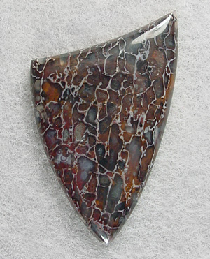 Dinosaur bone