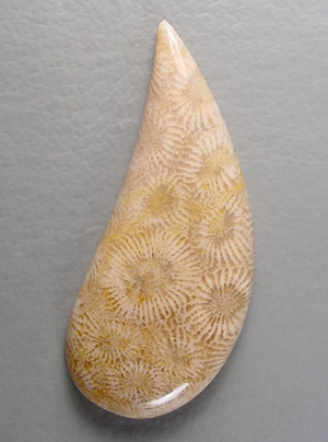 coral